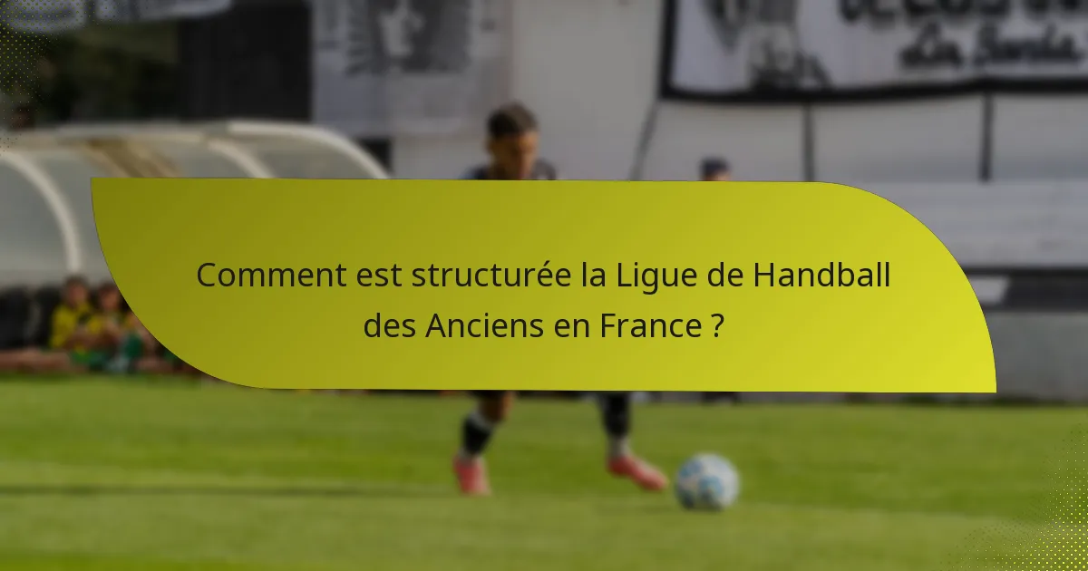 Comment est structurée la Ligue de Handball des Anciens en France ?