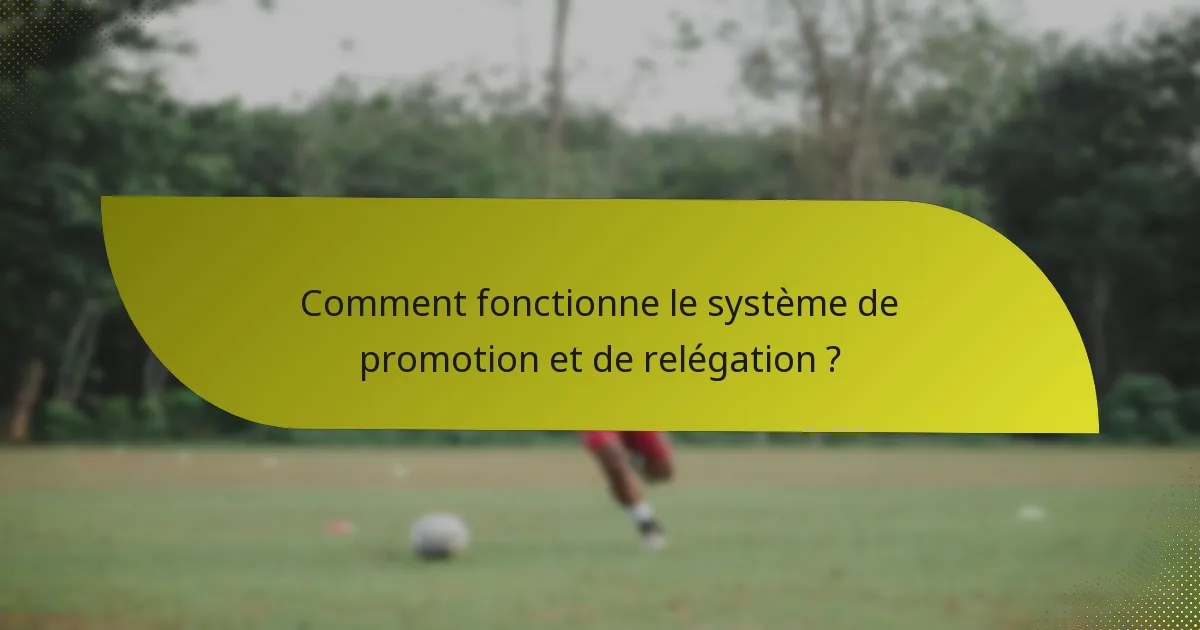 Comment fonctionne le système de promotion et de relégation ?