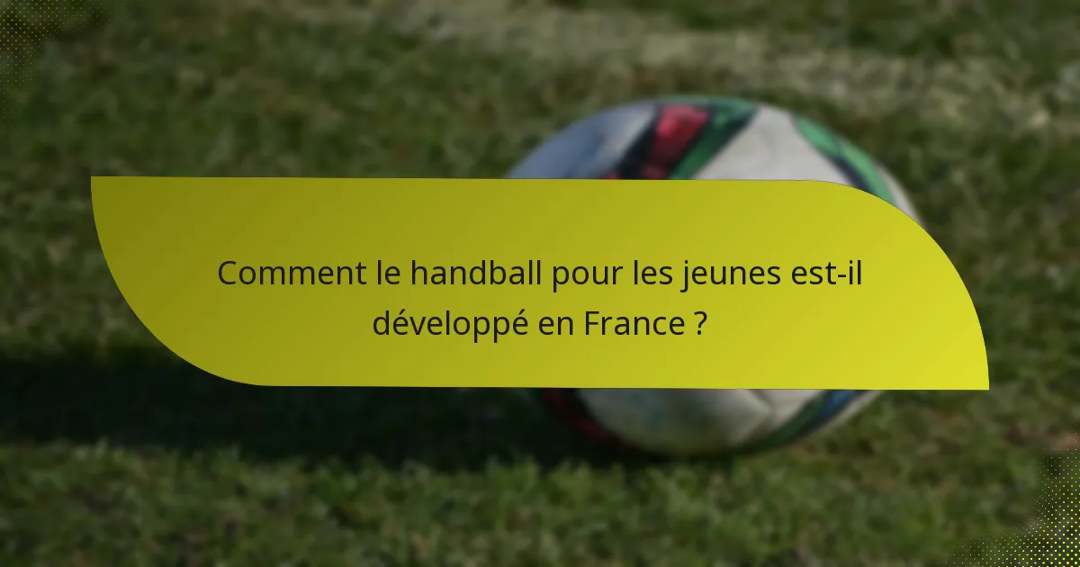 Comment le handball pour les jeunes est-il développé en France ?