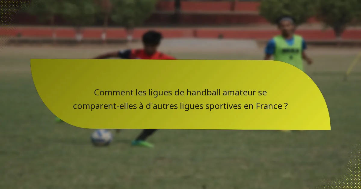 Comment les ligues de handball amateur se comparent-elles à d'autres ligues sportives en France ?