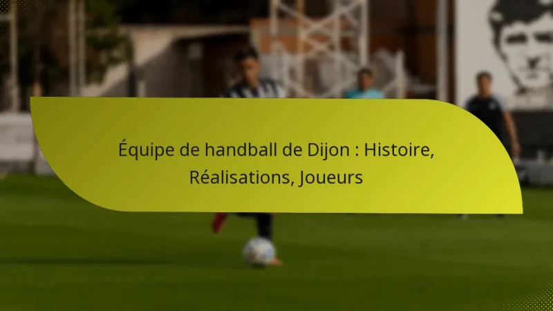 Équipe de handball de Dijon : Histoire, Réalisations, Joueurs