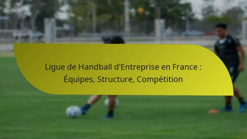 Ligue de Handball d’Entreprise en France : Équipes, Structure, Compétition