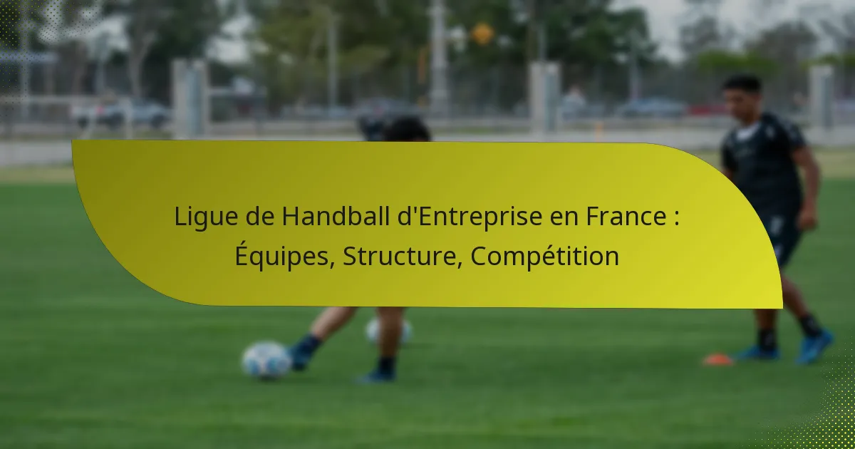 Ligue de Handball d’Entreprise en France : Équipes, Structure, Compétition