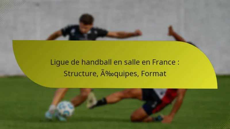 Ligue de handball en salle en France : Structure, Équipes, Format
