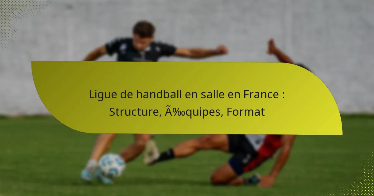Ligue de handball en salle en France : Structure, Équipes, Format