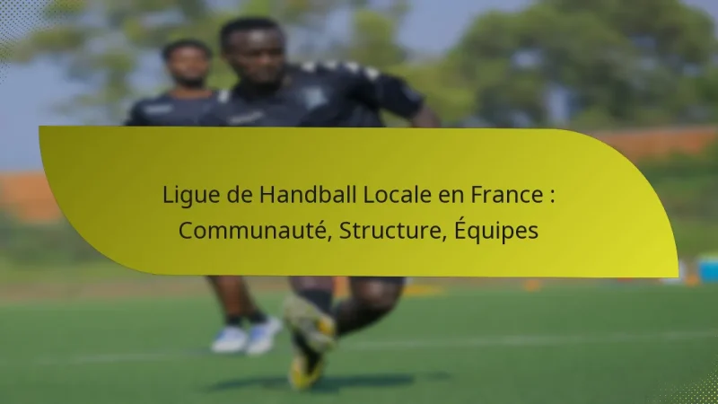 Ligue de Handball Locale en France : Communauté, Structure, Équipes