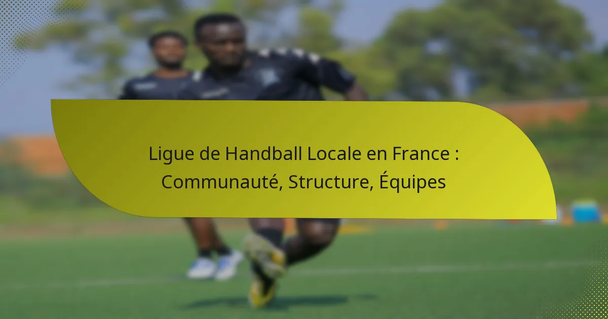 Ligue de Handball Locale en France : Communauté, Structure, Équipes