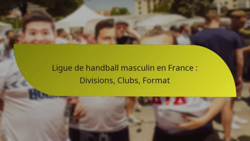 Ligue de handball masculin en France : Divisions, Clubs, Format