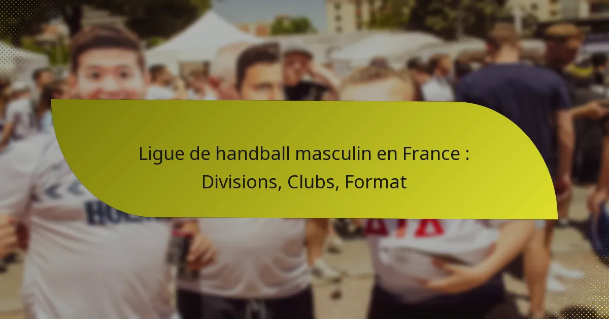 Ligue de handball masculin en France : Divisions, Clubs, Format