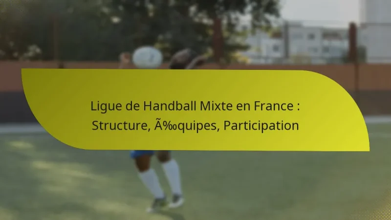 Ligue de Handball Mixte en France : Structure, Équipes, Participation