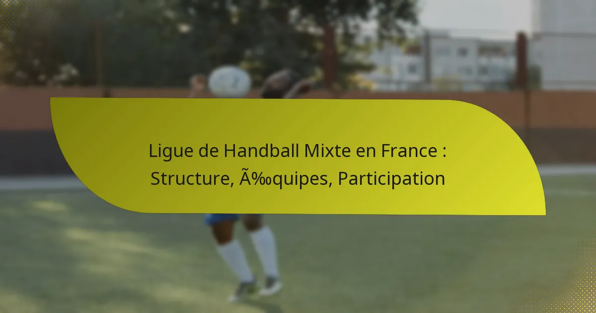 Ligue de Handball Mixte en France : Structure, Équipes, Participation