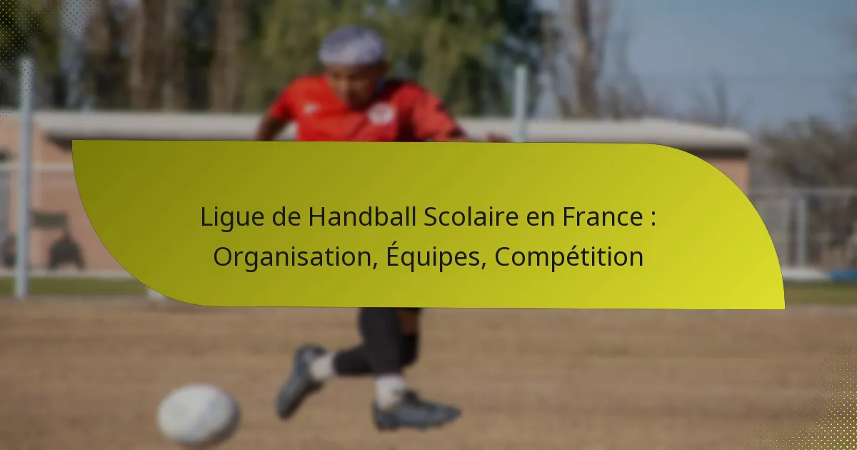 Ligue de Handball Scolaire en France : Organisation, Équipes, Compétition