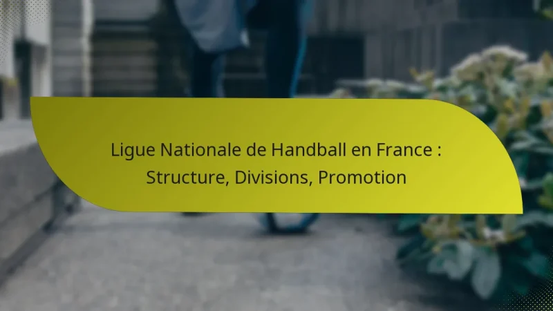 Ligue Nationale de Handball en France : Structure, Divisions, Promotion