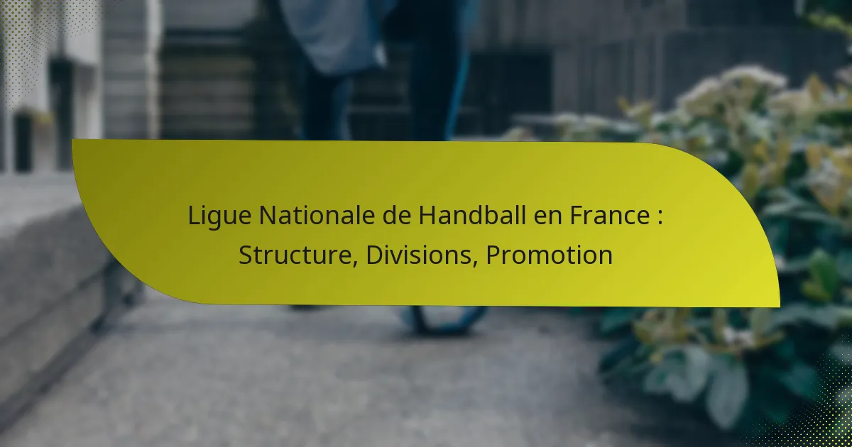Ligue Nationale de Handball en France : Structure, Divisions, Promotion