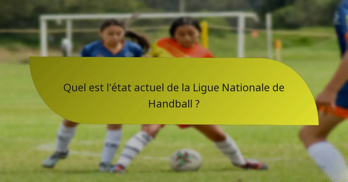 Quel est l'état actuel de la Ligue Nationale de Handball ?