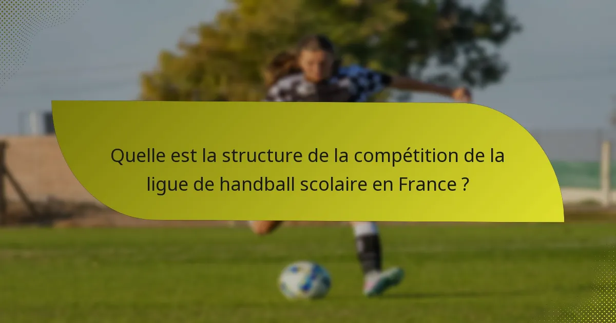 Quelle est la structure de la compétition de la ligue de handball scolaire en France ?