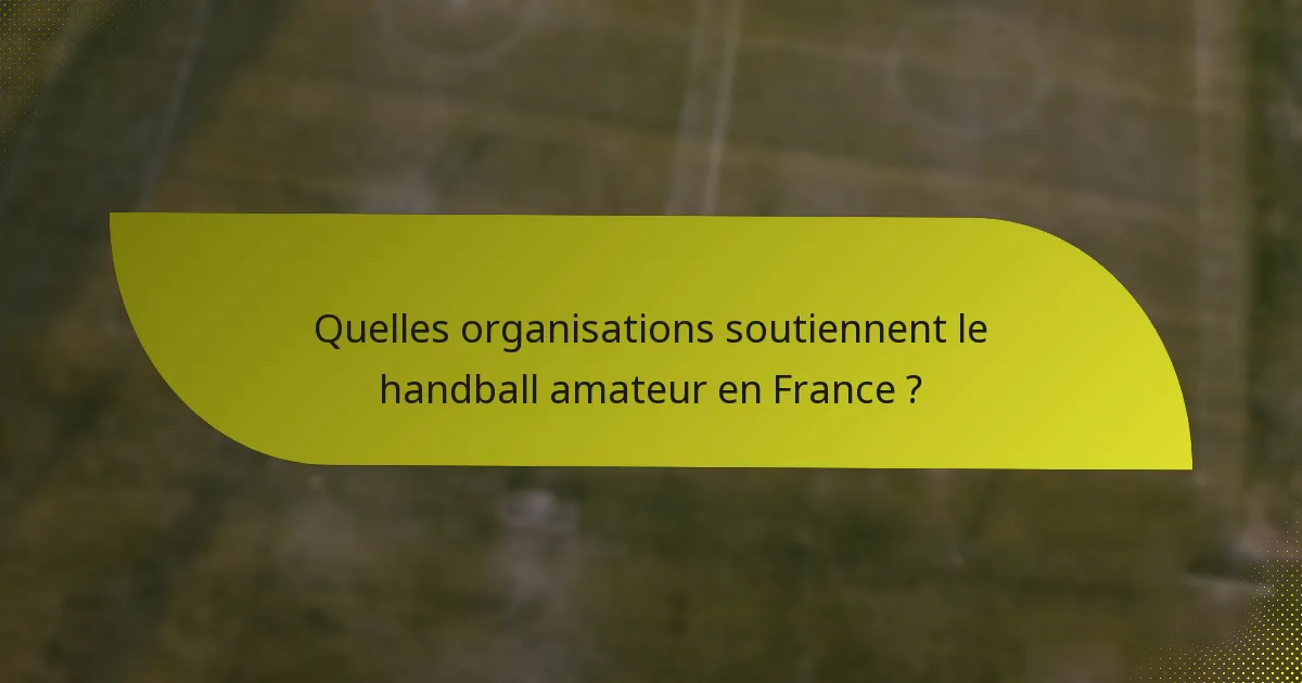 Quelles organisations soutiennent le handball amateur en France ?