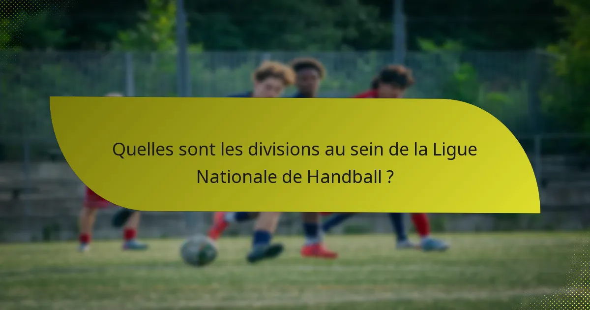 Quelles sont les divisions au sein de la Ligue Nationale de Handball ?