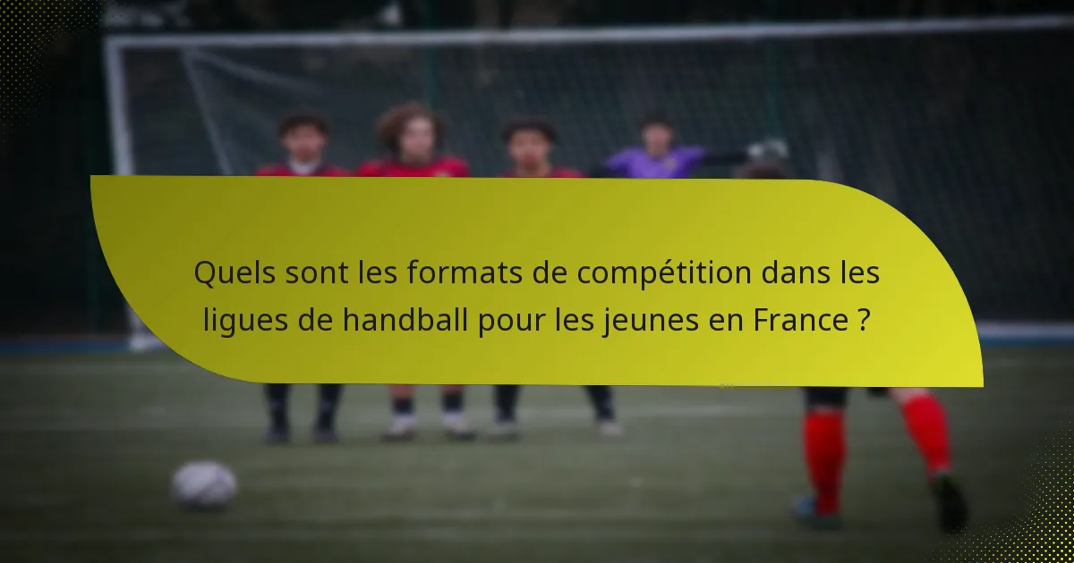 Quels sont les formats de compétition dans les ligues de handball pour les jeunes en France ?