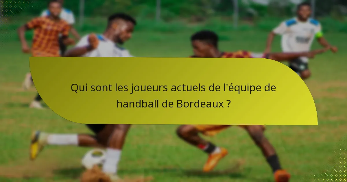 Qui sont les joueurs actuels de l'équipe de handball de Bordeaux ?