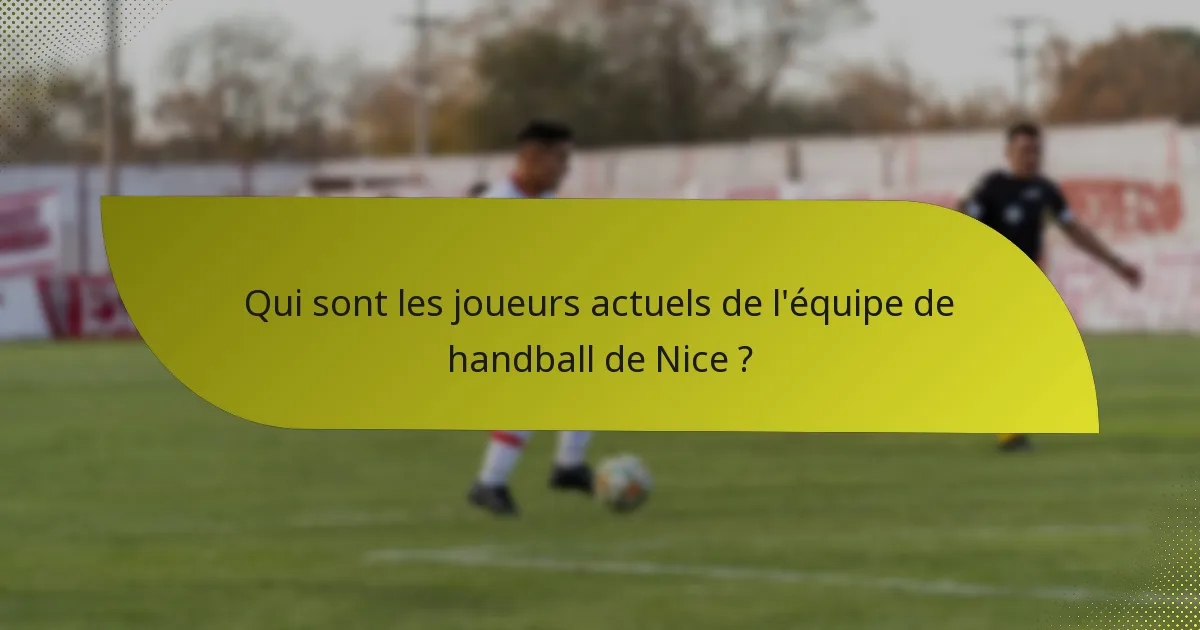 Qui sont les joueurs actuels de l'équipe de handball de Nice ?