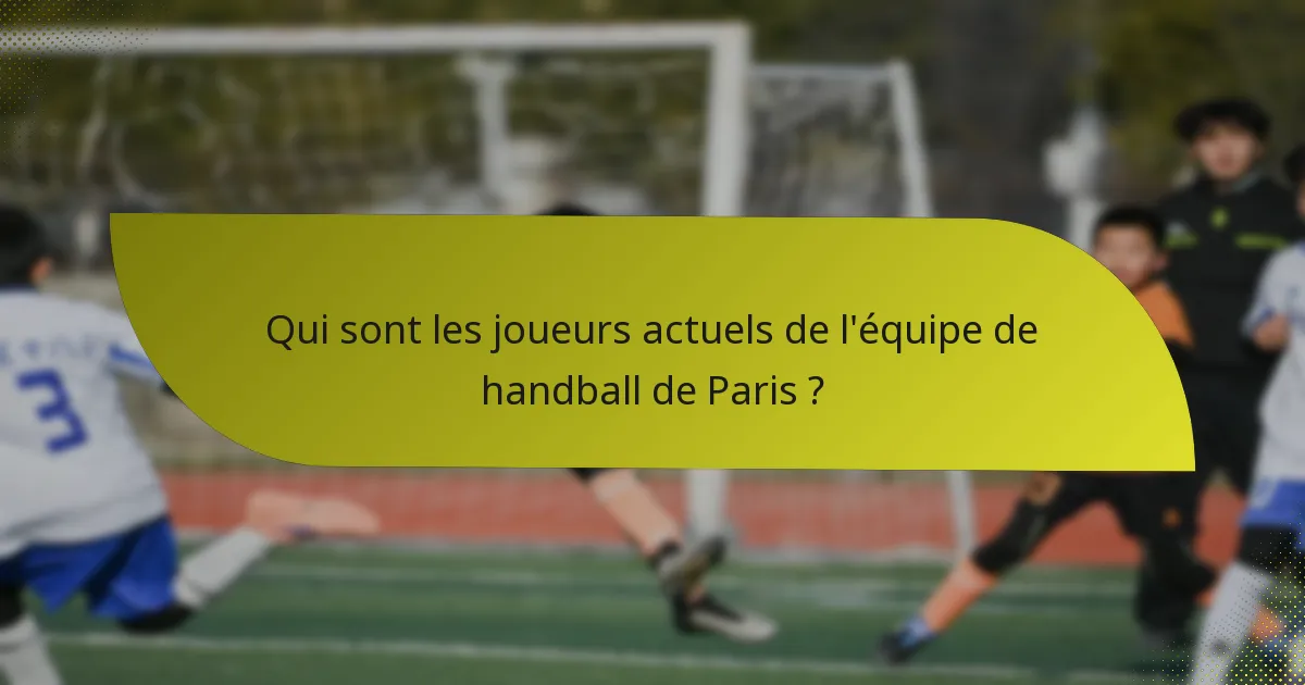 Qui sont les joueurs actuels de l'équipe de handball de Paris ?