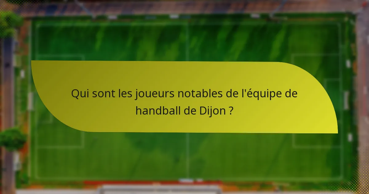 Qui sont les joueurs notables de l'équipe de handball de Dijon ?